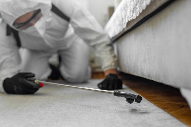 Professional Cockroach Control technician working in New Baltimore, MI