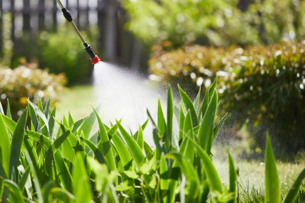 24/7 Emergency Cockroach Control experts in New Baltimore, MI