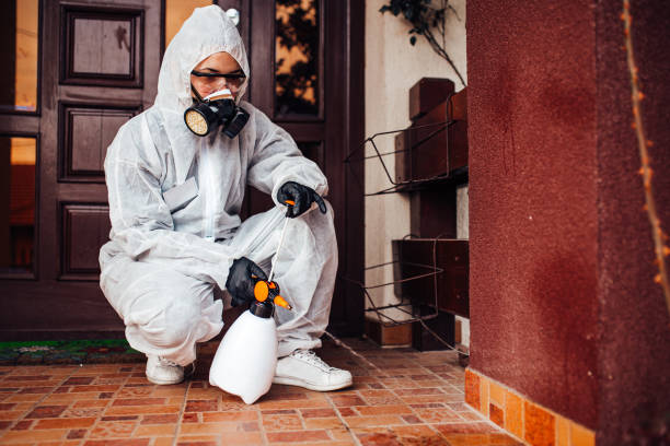 Reliable Cockroach Control contractor in New Baltimore, MI by Nex Pest Control
